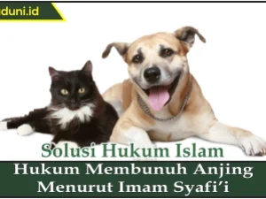 Hukum Membunuh Anjing Menurut Imam Syafi'i