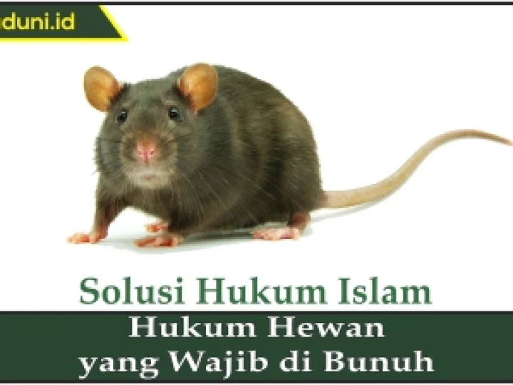 Hukum Hewan yang Wajib Dibunuh