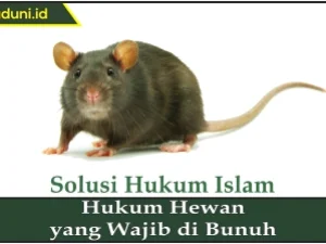 Hukum Hewan yang Wajib Dibunuh