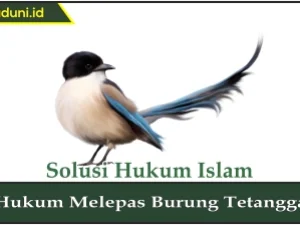 Hukum Melepas Burung Tetangga