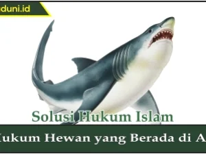 Hukum Hewan yang Berada di Air