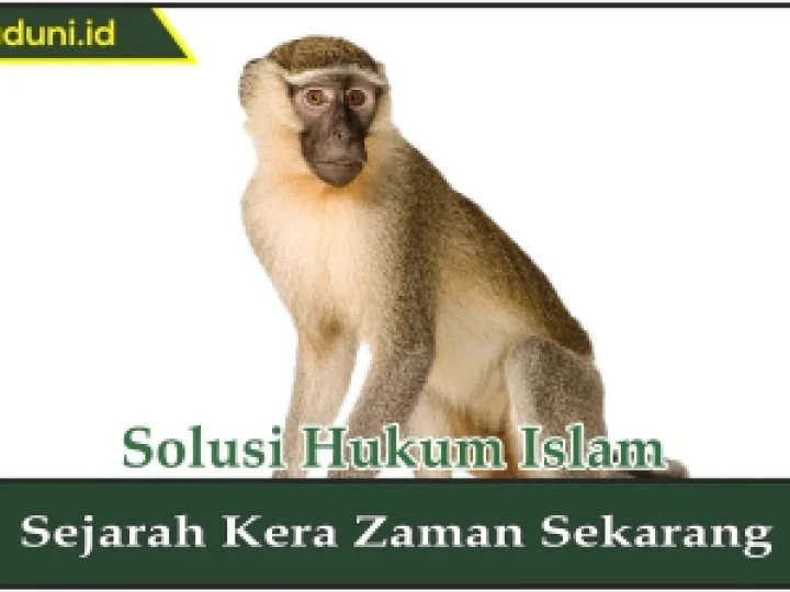 Sejarah Kera Zaman Sekarang