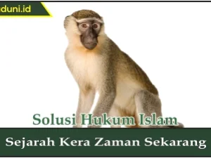 Sejarah Kera Zaman Sekarang