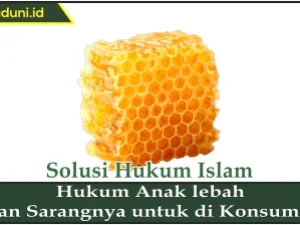 Hukum Anak Lebah dan Sarangnya untuk di Konsumsi