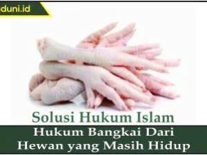 Hukum Bangkai dari Hewan yang Masih Hidup