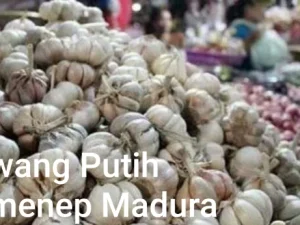 Setelah Rp 90 Ribu per Kg, Harga Bawang Putih di Sumenep Terus Turun