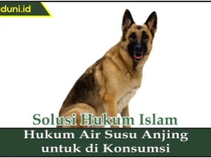 Hukum Air Susu Anjing untuk Dikonsumsi