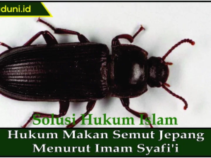 Hukum Makan Semut Jepang