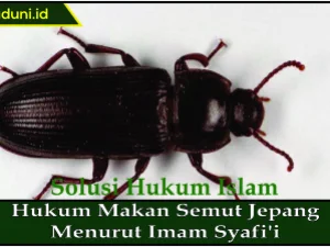Hukum Makan Semut Jepang