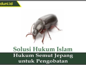 Hukum Semut Jepang untuk Pengobatan