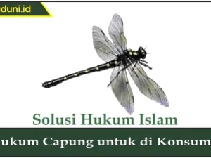 Hukum Capung untuk Dikonsumsi