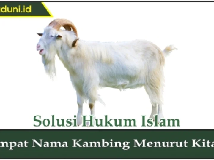 Empat Nama Kambing Menurut Kitab