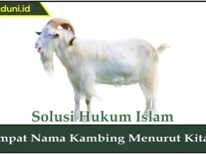 Empat Nama Kambing Menurut Kitab