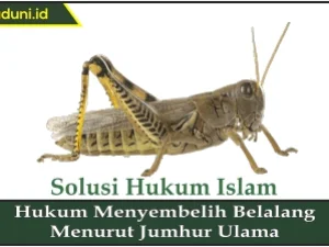 Hukum Menyembelih Belalang Menurut Jumhur Ulama