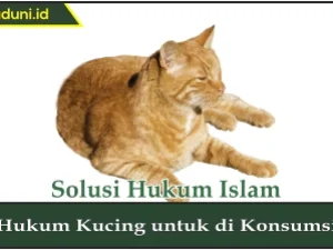 Hukum Kucing untuk Dikonsumsi
