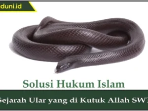 Sejarah Ular yang Dikutuk Allah SWT