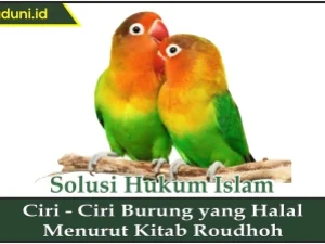 Ciri-Ciri Burung yang Halal Menurut Kitab Roudhoh