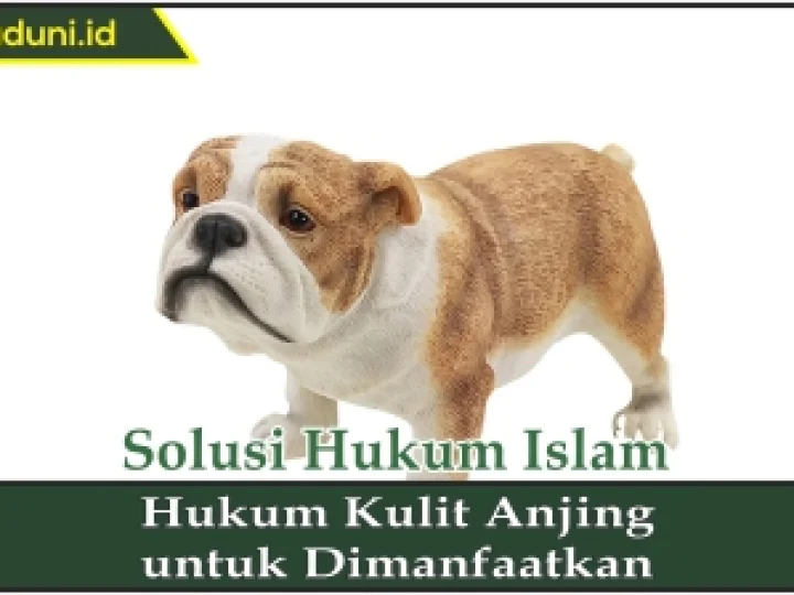 Hukum Kulit Anjing untuk Dimanfaatkan