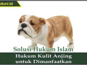 Hukum Kulit Anjing untuk Dimanfaatkan