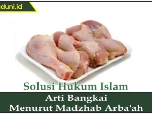 Arti Bangkai Menurut Madzhab Arba'ah