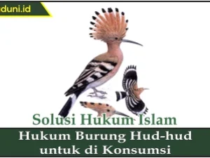 Hukum Burung Hud-hud untuk Dikonsumsi