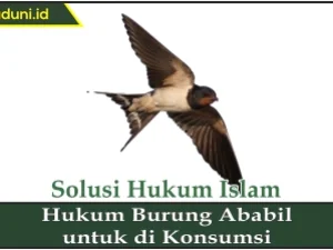 Hukum Burung Ababil untuk Dikonsumsi
