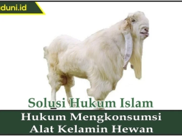 Hukum Mengkonsumsi Alat Kelamin Hewan