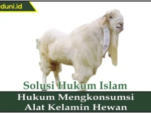 Hukum Mengkonsumsi Alat Kelamin Hewan