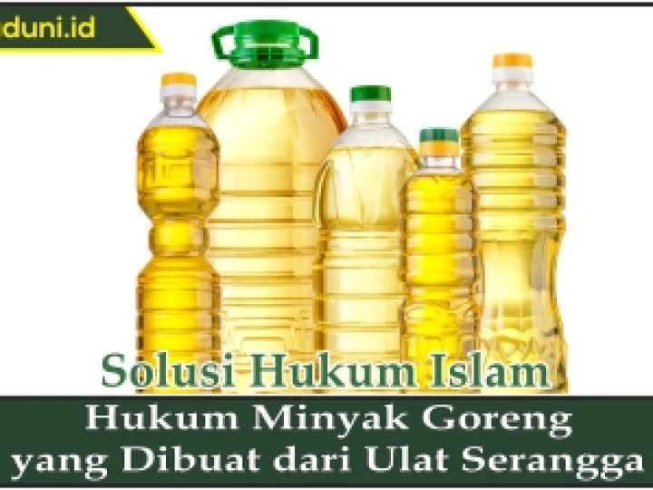 Hukum Minyak Goreng dari Ulat Serangga