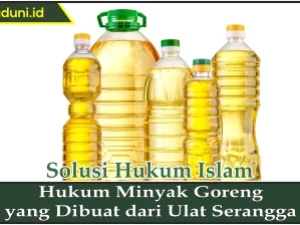 Hukum Minyak Goreng dari Ulat Serangga