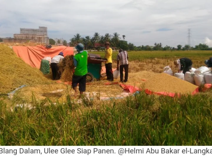 Bertani Pekerjaan Paling Mulia dalam Islam, Zaman Now Kian Punah?