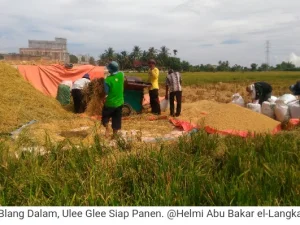 Bertani Pekerjaan Paling Mulia dalam Islam, Zaman Now Kian Punah?