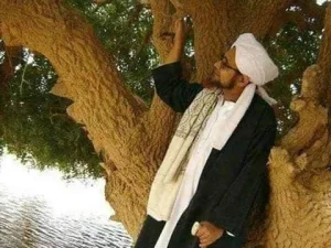 Pohon Tempat Rasulullah SAW Berteduh Masih Hidup Sampai Sekarang