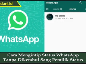 Cara Mengintip Status WhatsApp Tanpa Diketahui Sang Pemilik Status