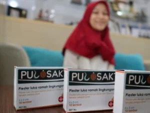 Pulosakti, Plester Luka Berbahankan Tandan Sawit dan Ikan Sidat Buatan Mahasiswa UNS