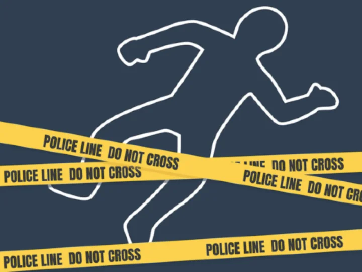 Ratusan Tersangka Pembunuhan Berhasil Ditangkap Polisi Brasil