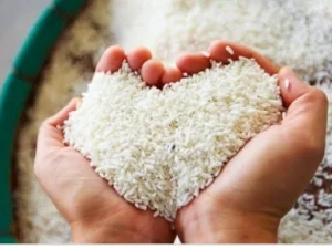 Fiqh Zakat Fitrah #3: Waktu Mengeluarkan Zakat Fitrah, Kapan?
