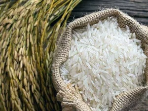 Fiqh Zakat Fitrah #6: Menurut Imam Abu Hanifah 