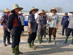 Supaya Harga Garam Stabil, Dewan Usulkan Ciptakan Home Industri