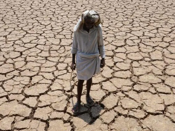 36 Orang Tewas akibat Cuaca Panas di India