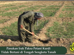 Pasukan Irak Paksa Petani Kurdi Tidak Bertani di Tengah Sengketa Tanah
