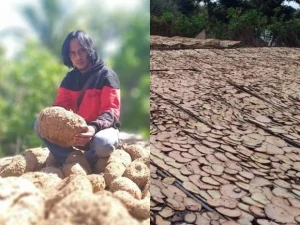 Kisah Paidi yang Dulu Pemulung Kini Ingin Umrahkan Satu Desa