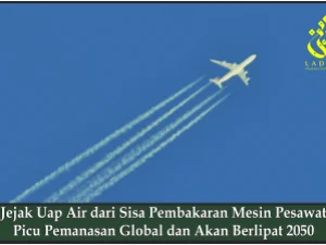 Jejak Uap Air dari Sisa Pembakaran Mesin Pesawat Picu Pemanasan Global dan Akan Berlipat 2050
