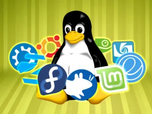 Linux Story : Istilah Unik di Dunia Linux