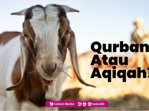 Qurban atau Aqiqah Dulu?