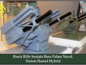 Rusia Rilis Senjata Baru Palma Naval, Sistem Hanud Hybrid