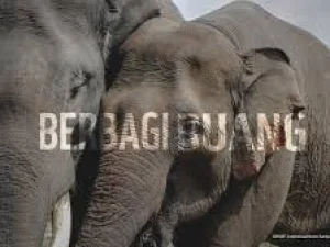 Berbagi Ruang