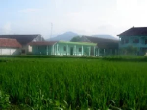 Pesantren Nurur Rahmah Probolinggo