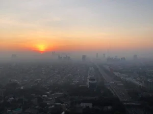 Polusi Udara Bagi Kesehatan Manusia, Begini Dampaknya