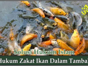 Hukum Zakat Ikan dalam Tambak